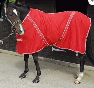 Rhinegold Summer Sheet