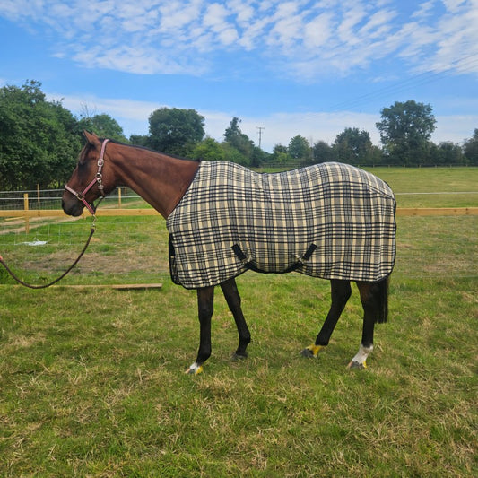 ✨Richmond (All Year Round) Micro Fleece Rug.  Sizes  - 5' - 6'9 ✨